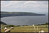IMG_8161.JPG