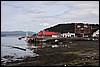 IMG_8386.JPG